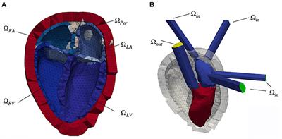 Sequential Coupling Shows Minor Effects of Fluid Dynamics on Myocardial Deformation in a Realistic Whole-Heart Model